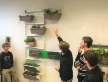 Schüler des Königlichen Lyzeums Antwerpen betrachten die von ihnen gestaltete Pflanzenwand.